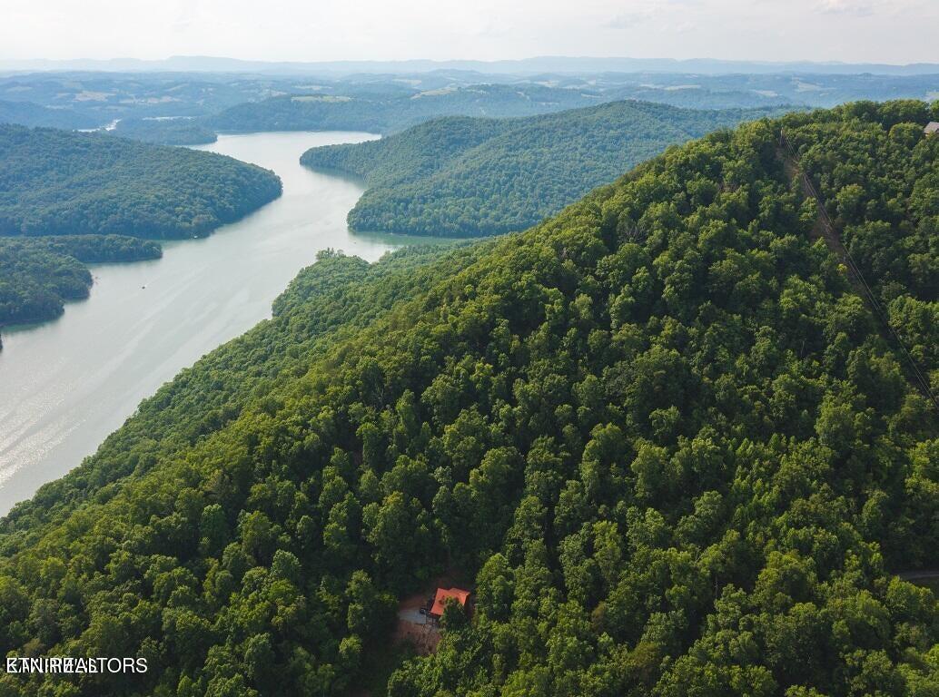 Norris Lake Real Estate - Image# 8