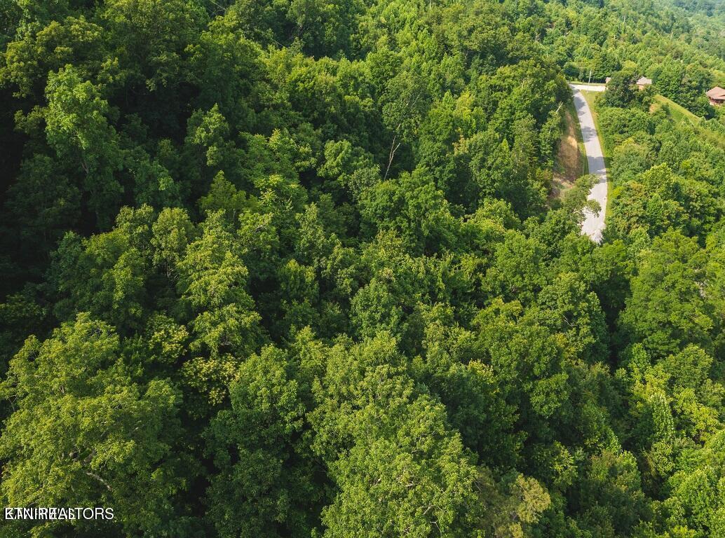 Norris Lake Real Estate - Image# 10