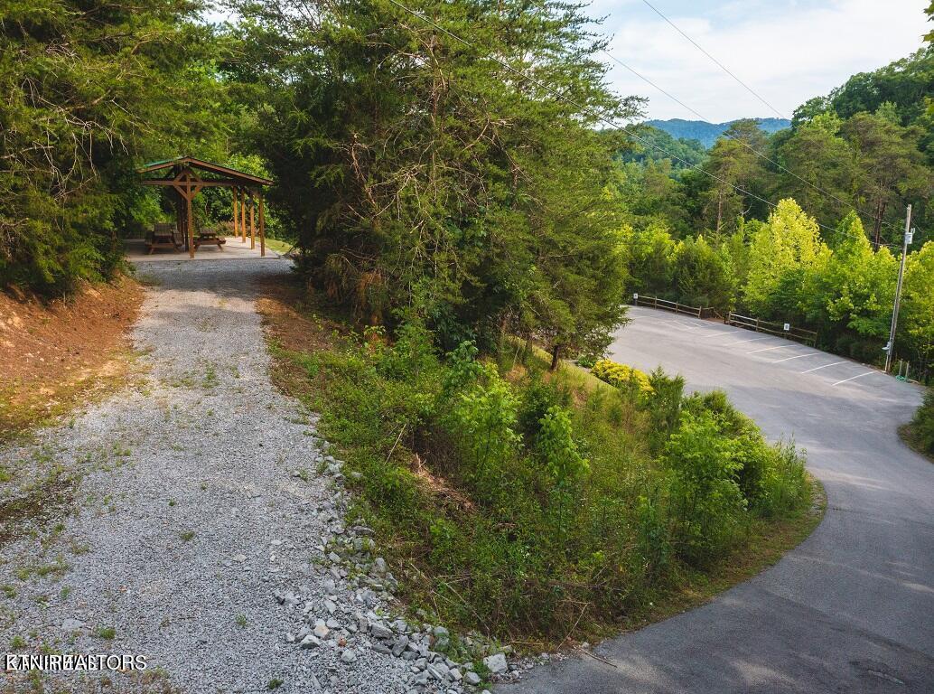 Norris Lake Real Estate - Image# 13