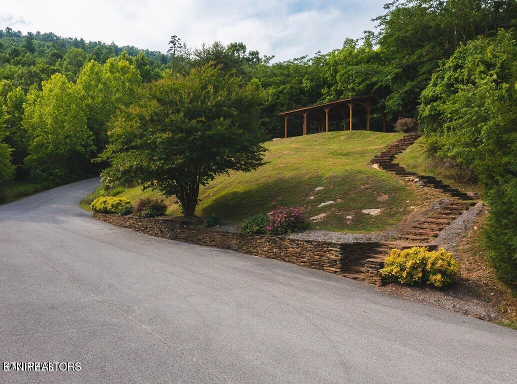 Norris Lake Real Estate - Image# 14