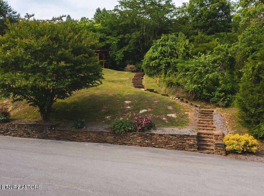 Norris Lake Real Estate - Image# 15