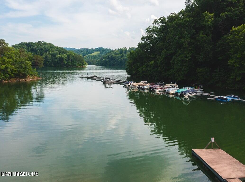 Norris Lake Real Estate - Image# 21