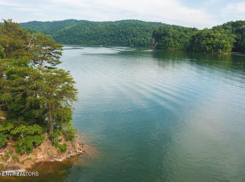 Norris Lake Real Estate - Image# 22