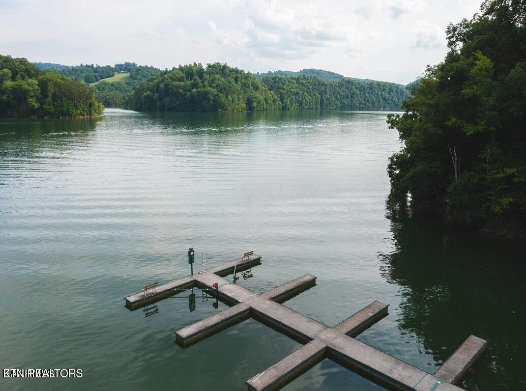 Norris Lake Real Estate - Image# 23