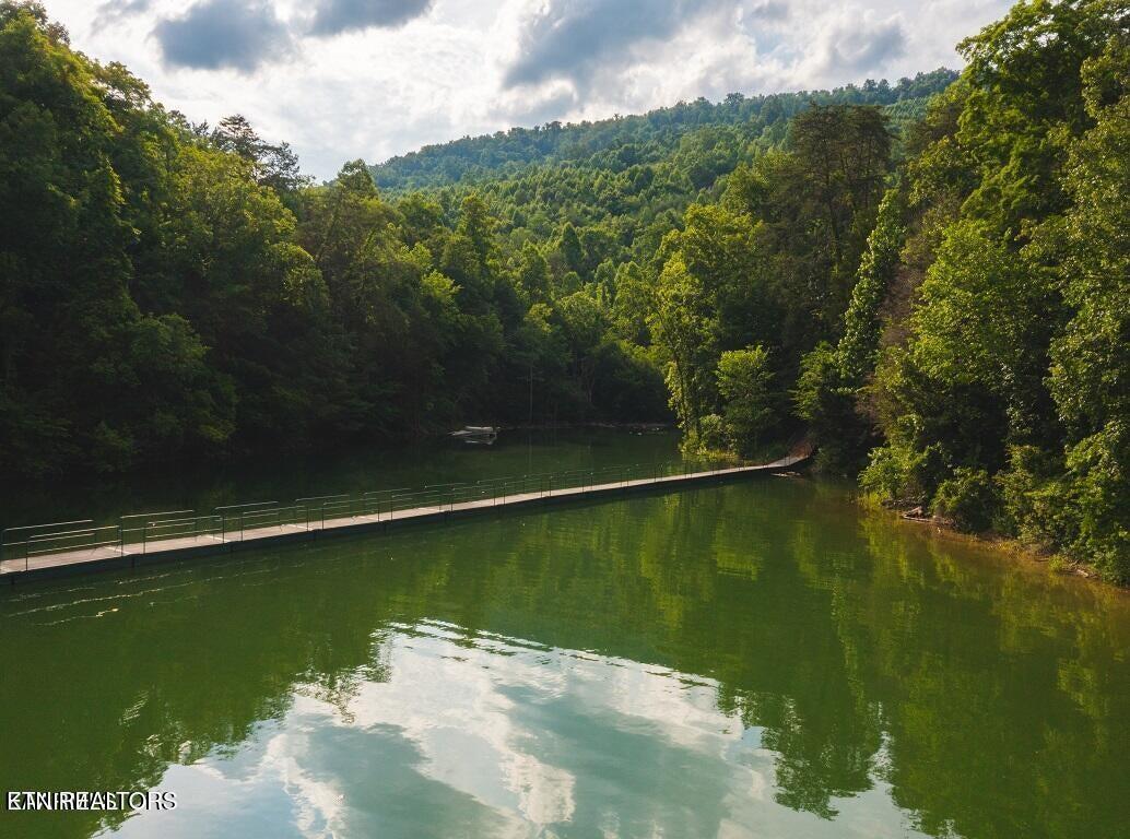 Norris Lake Real Estate - Image# 25