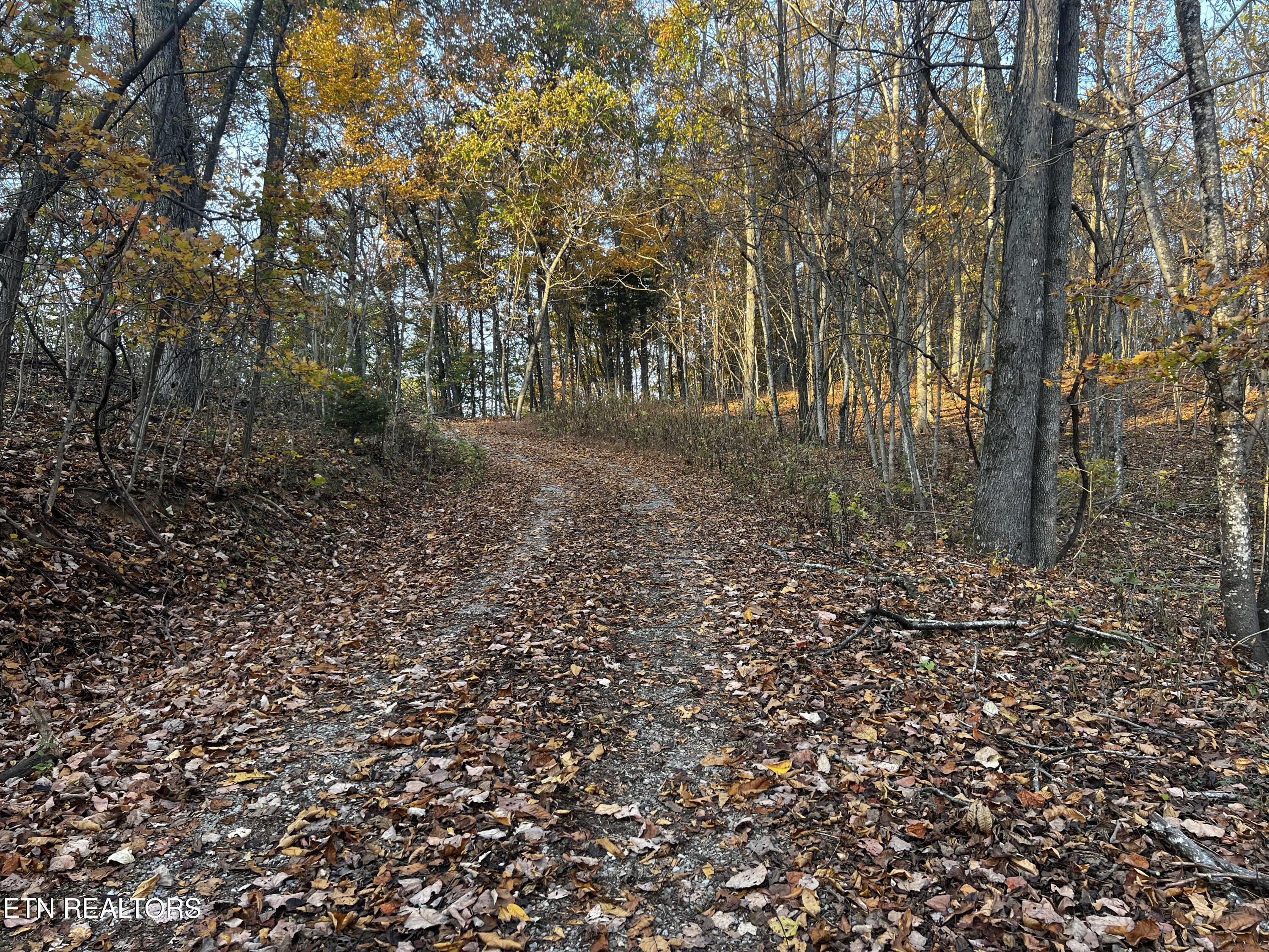 Norris Lake Real Estate - Image# 33