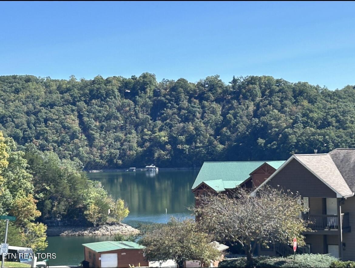 Norris Lake Real Estate - Image# 3