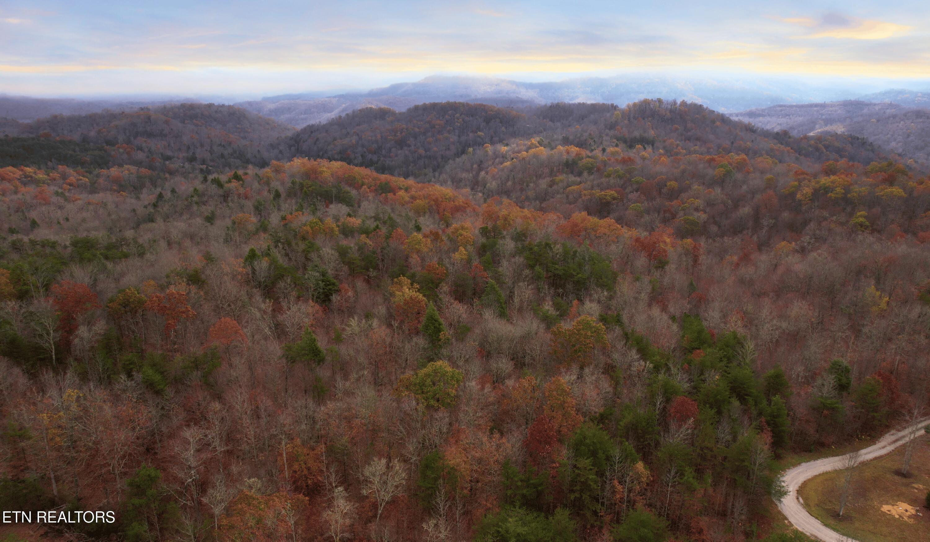 Norris Lake Real Estate - Image# 8