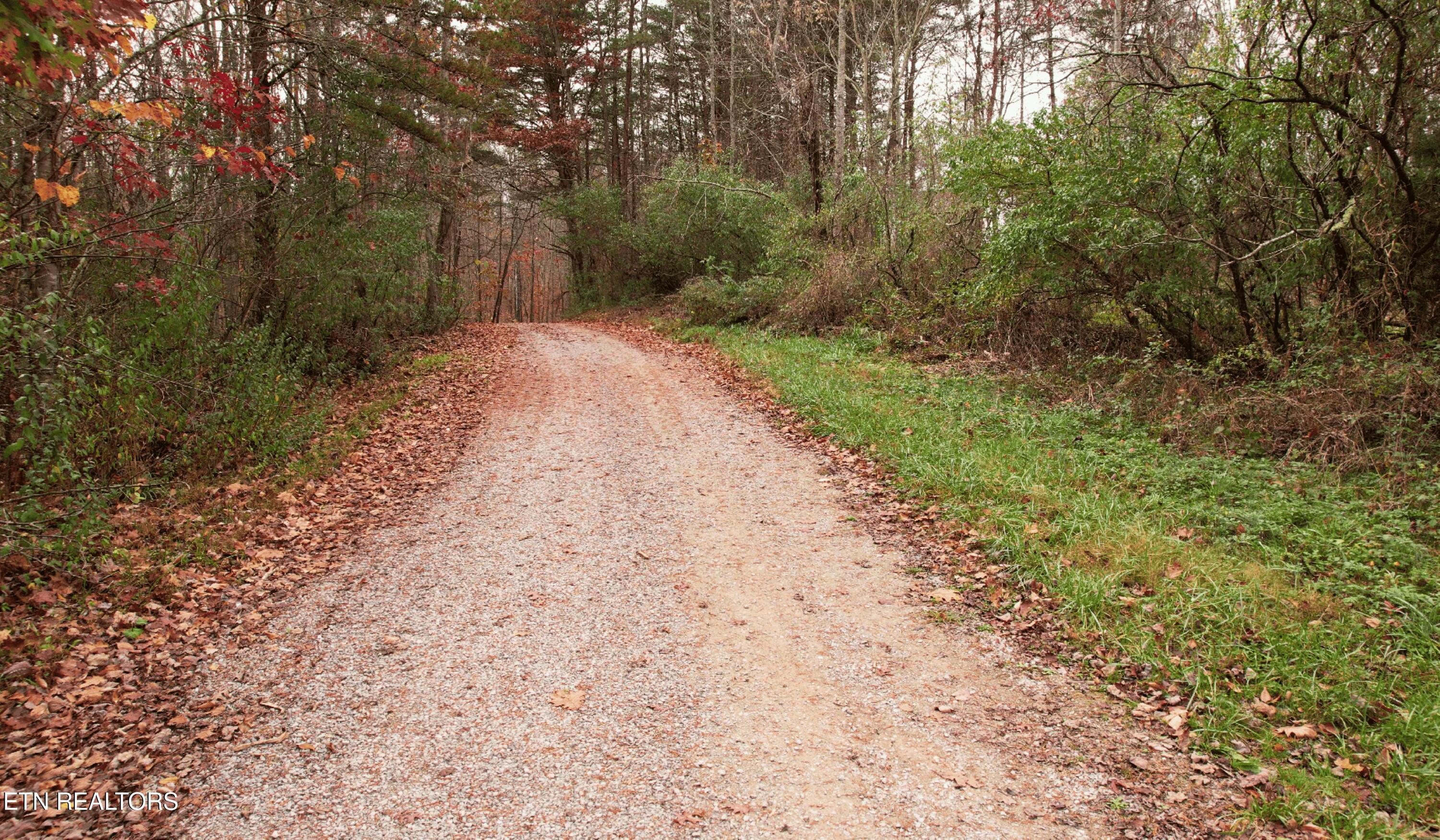 Norris Lake Real Estate - Image# 31