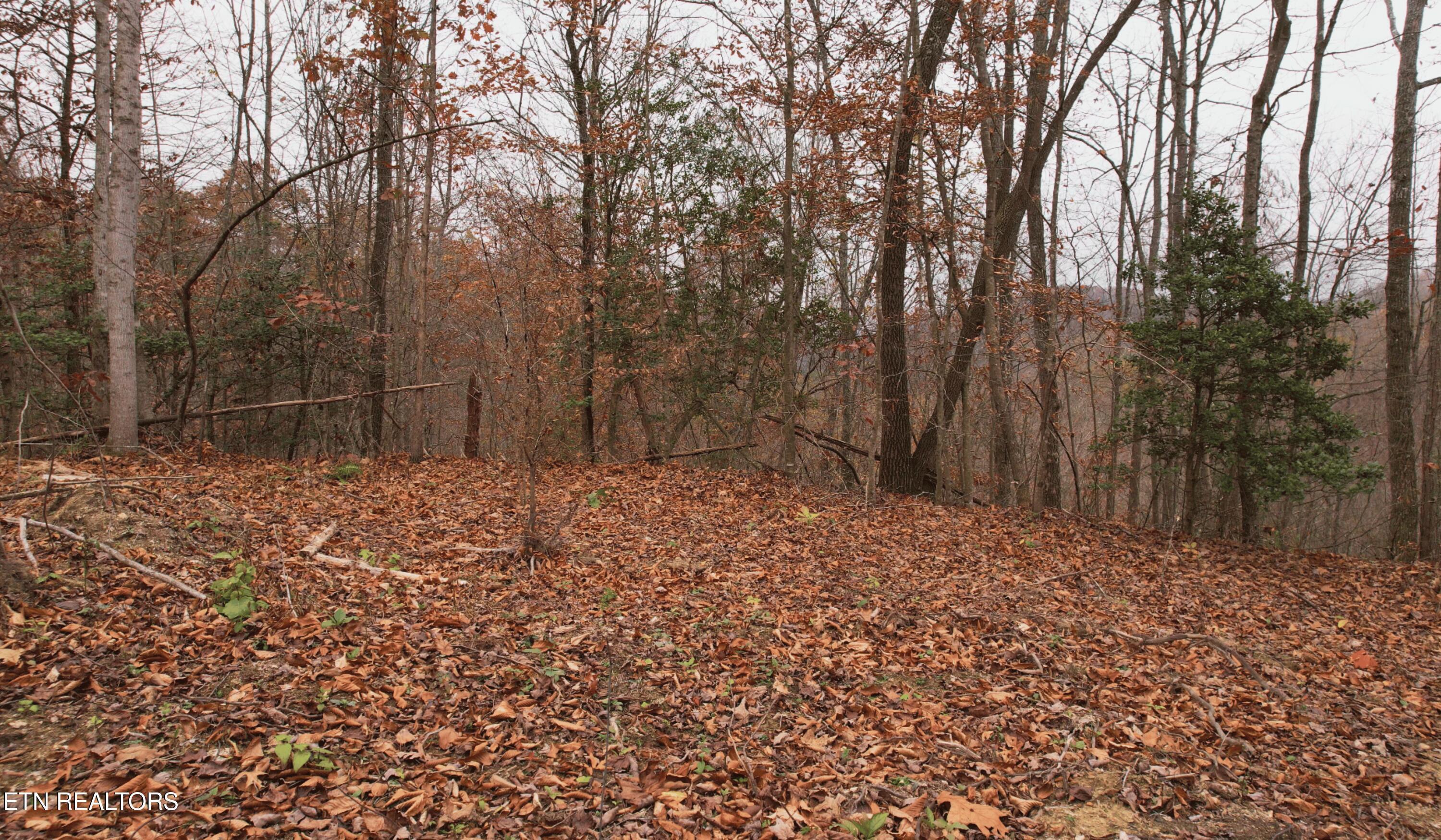 Norris Lake Real Estate - Image# 15