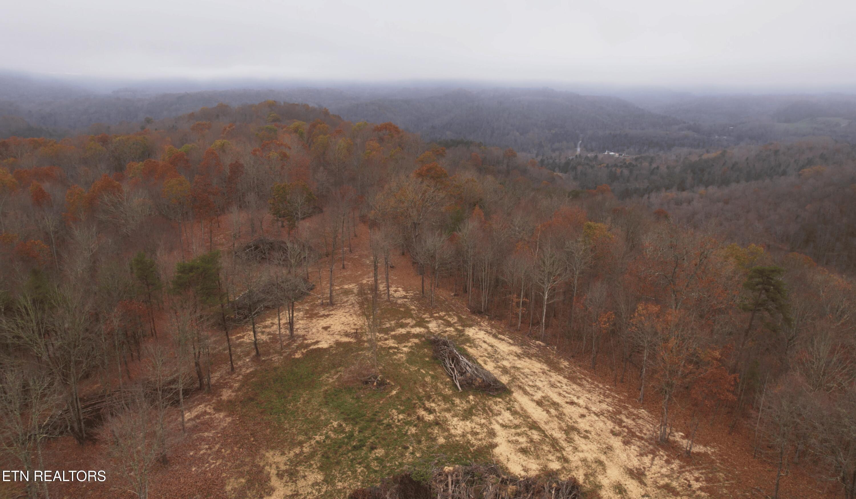 Norris Lake Real Estate - Image# 11