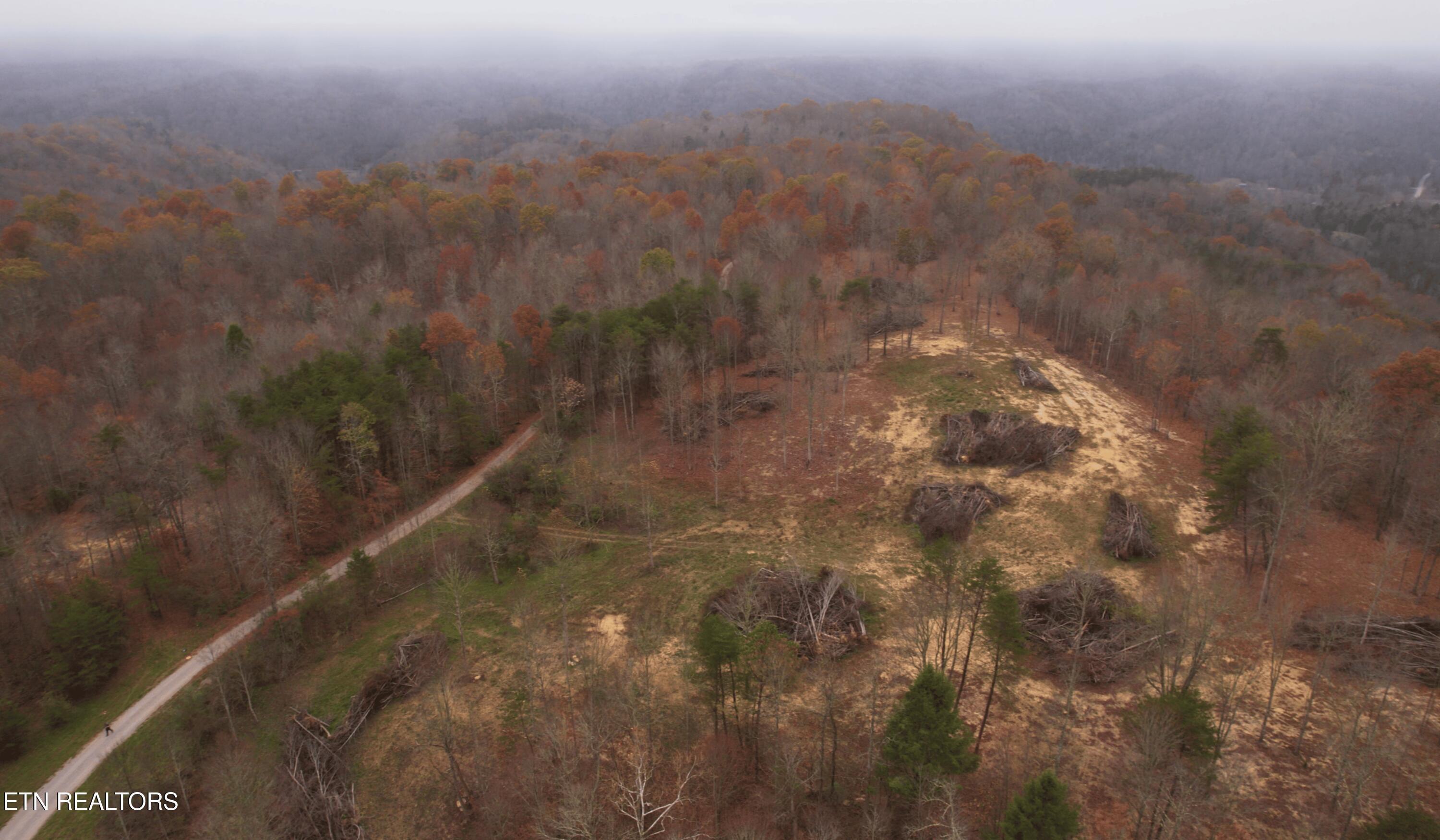 Norris Lake Real Estate - Image# 20