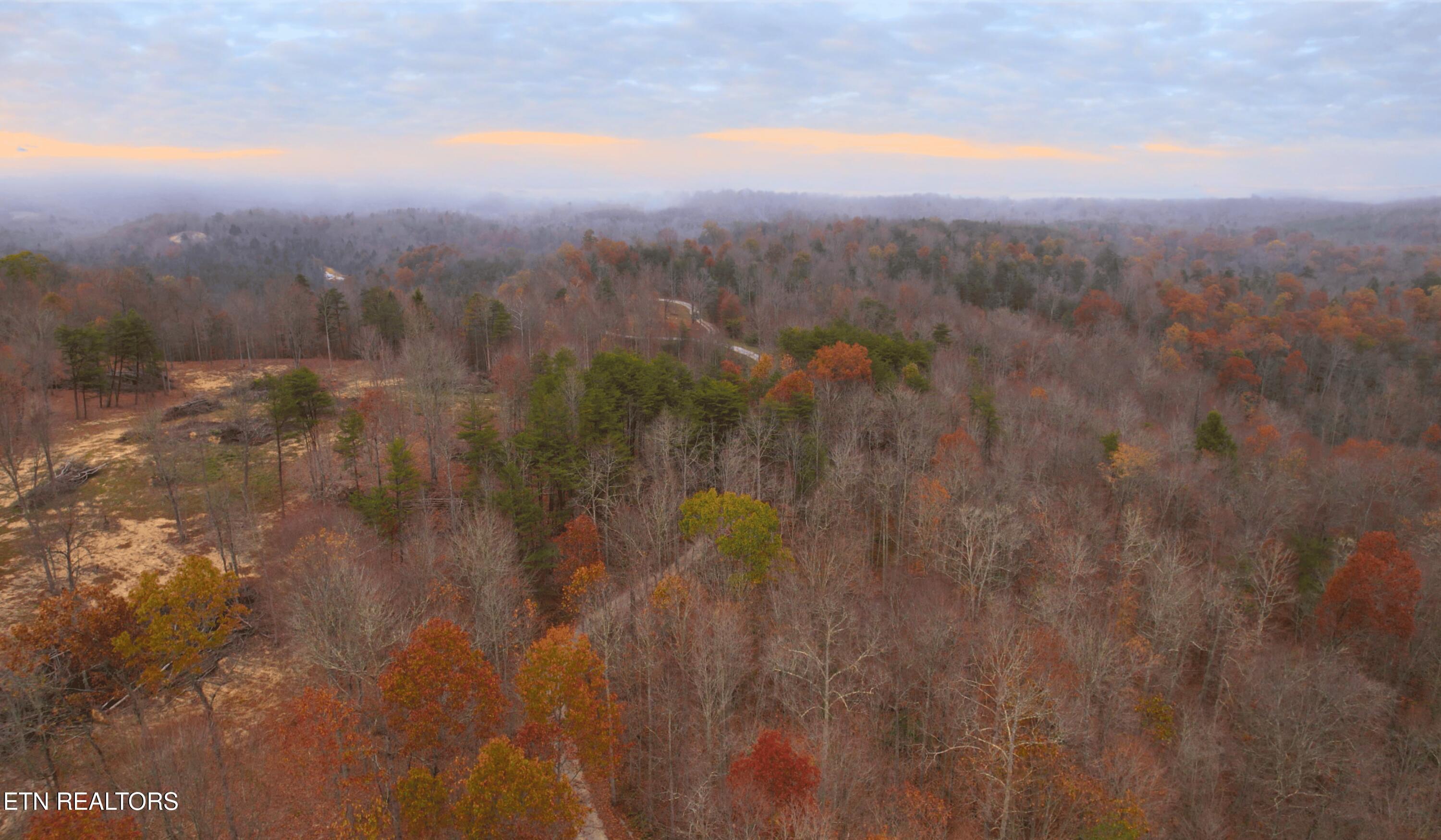 Norris Lake Real Estate - Image# 22