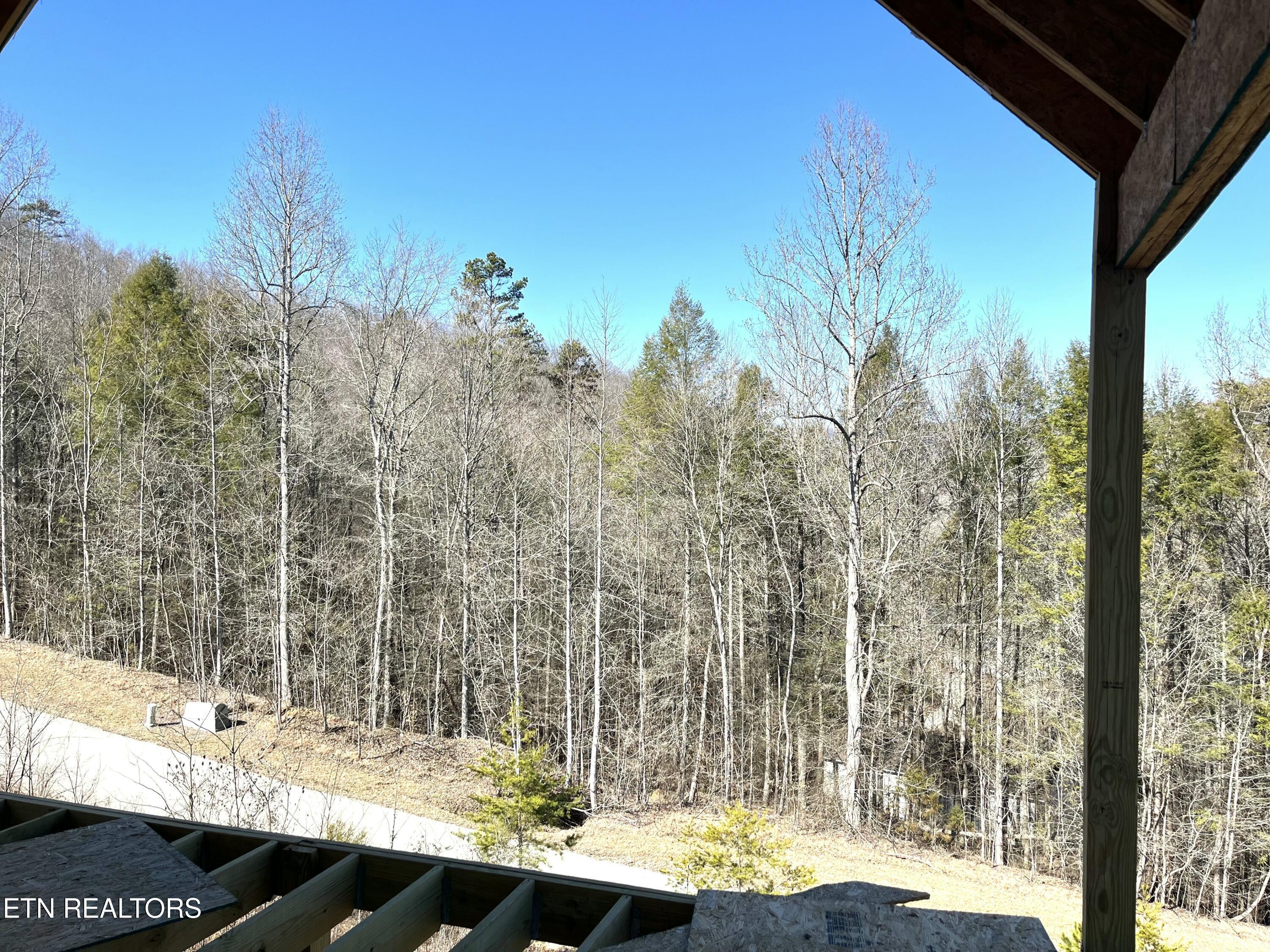 Norris Lake Real Estate - Image# 19