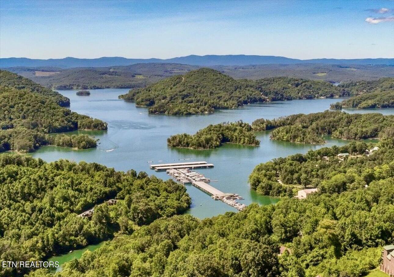 Norris Lake Real Estate - Image# 10