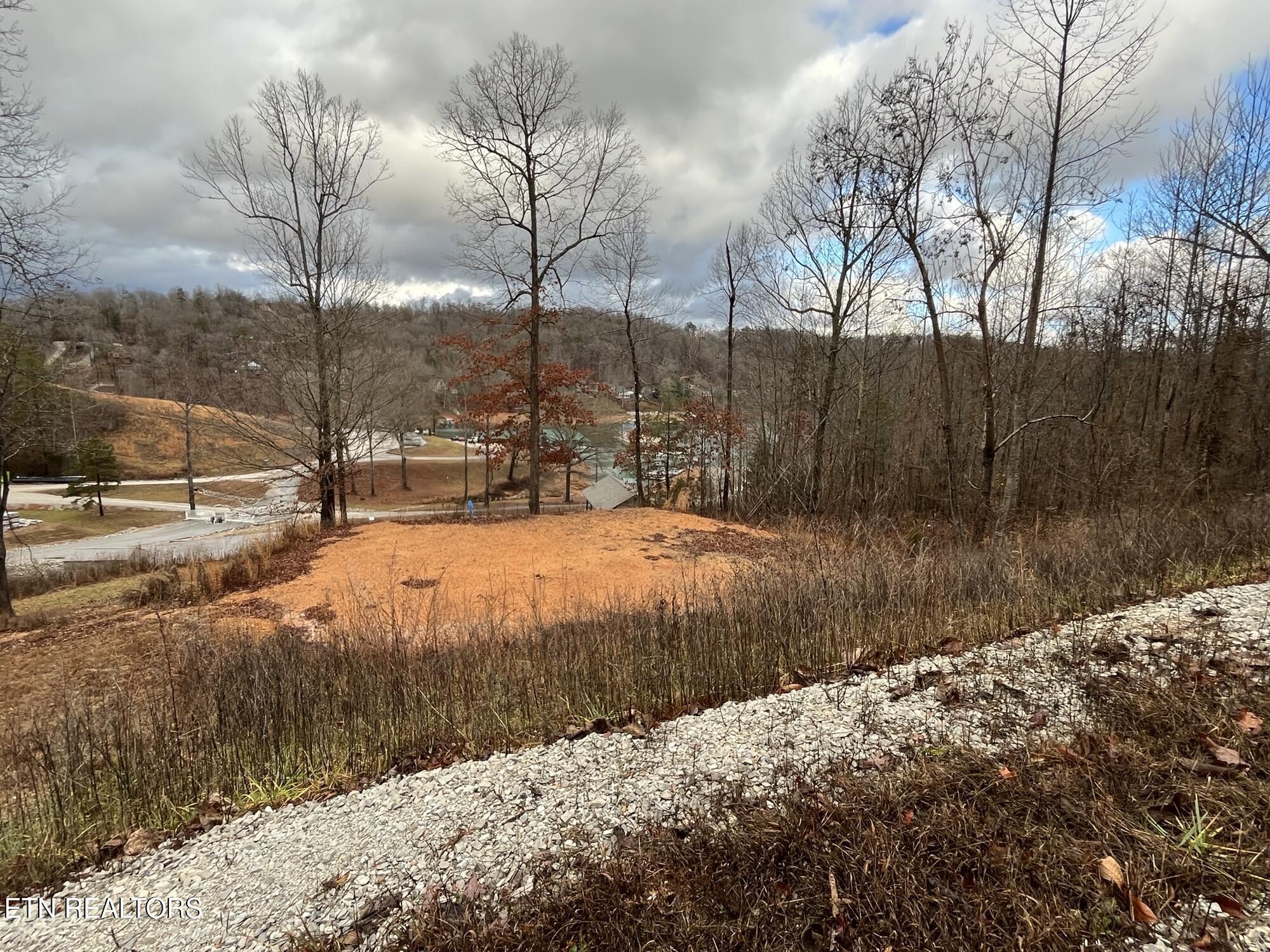 Norris Lake Real Estate - Image# 2