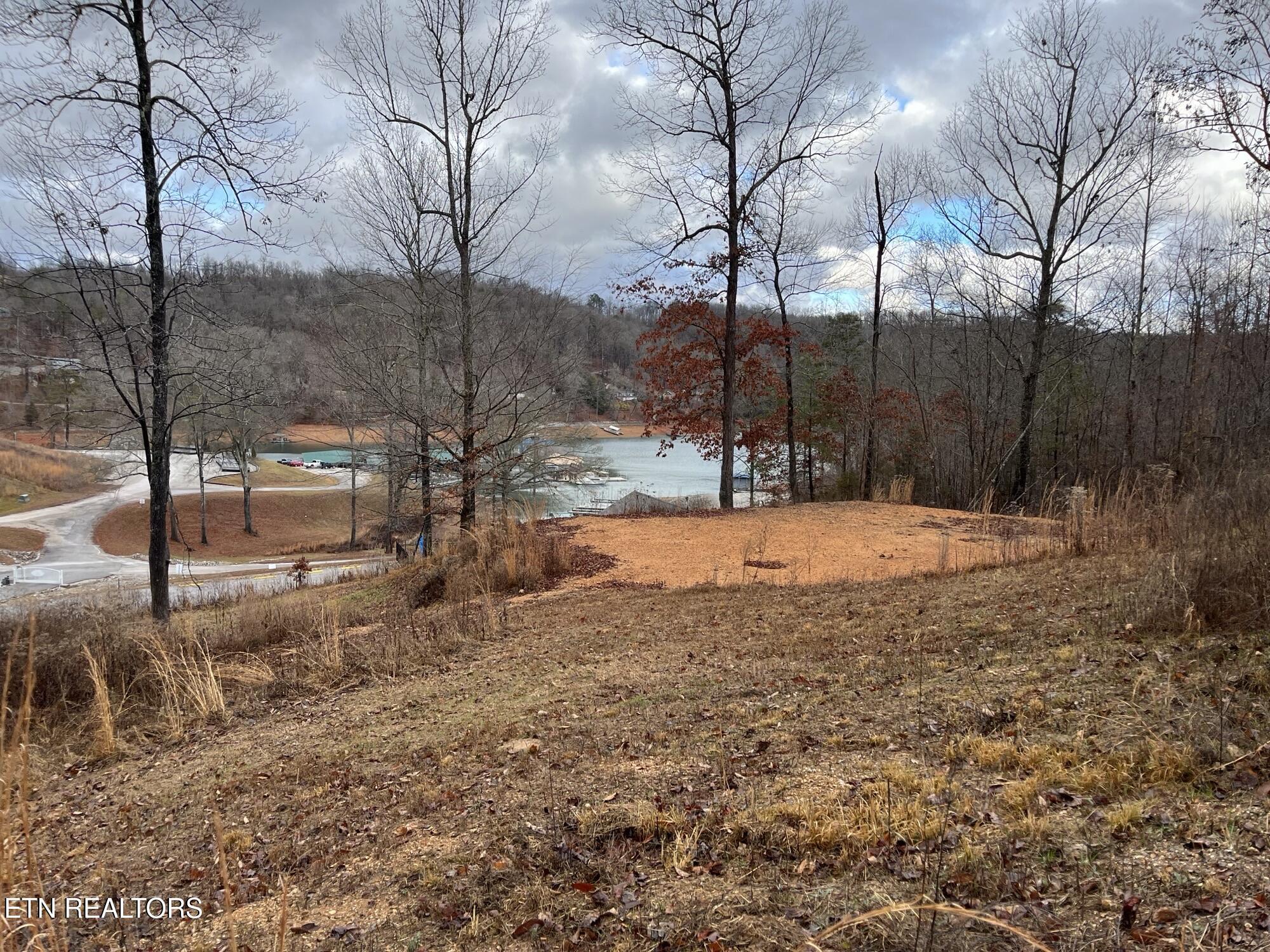 Norris Lake Real Estate - Image# 1