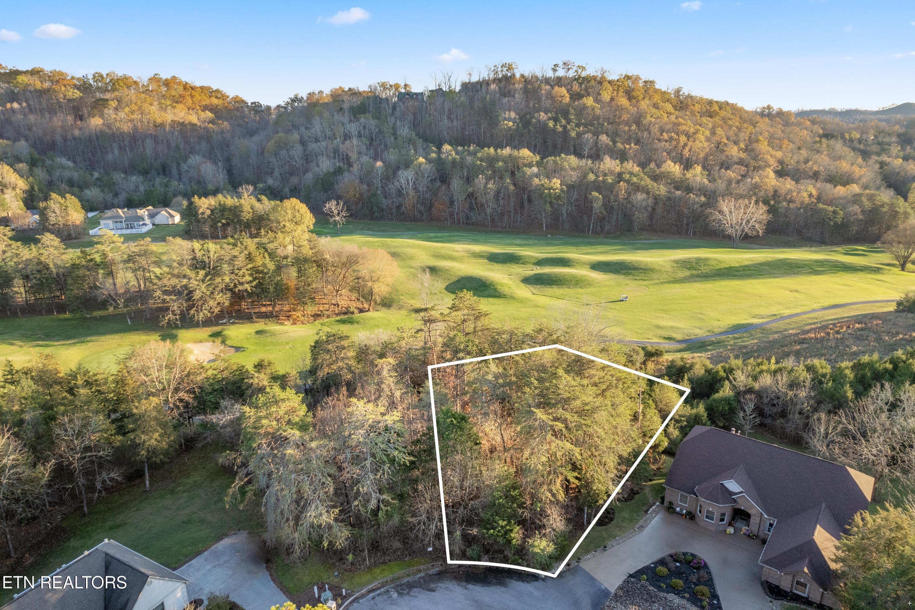 Norris Lake Real Estate - Image# 2