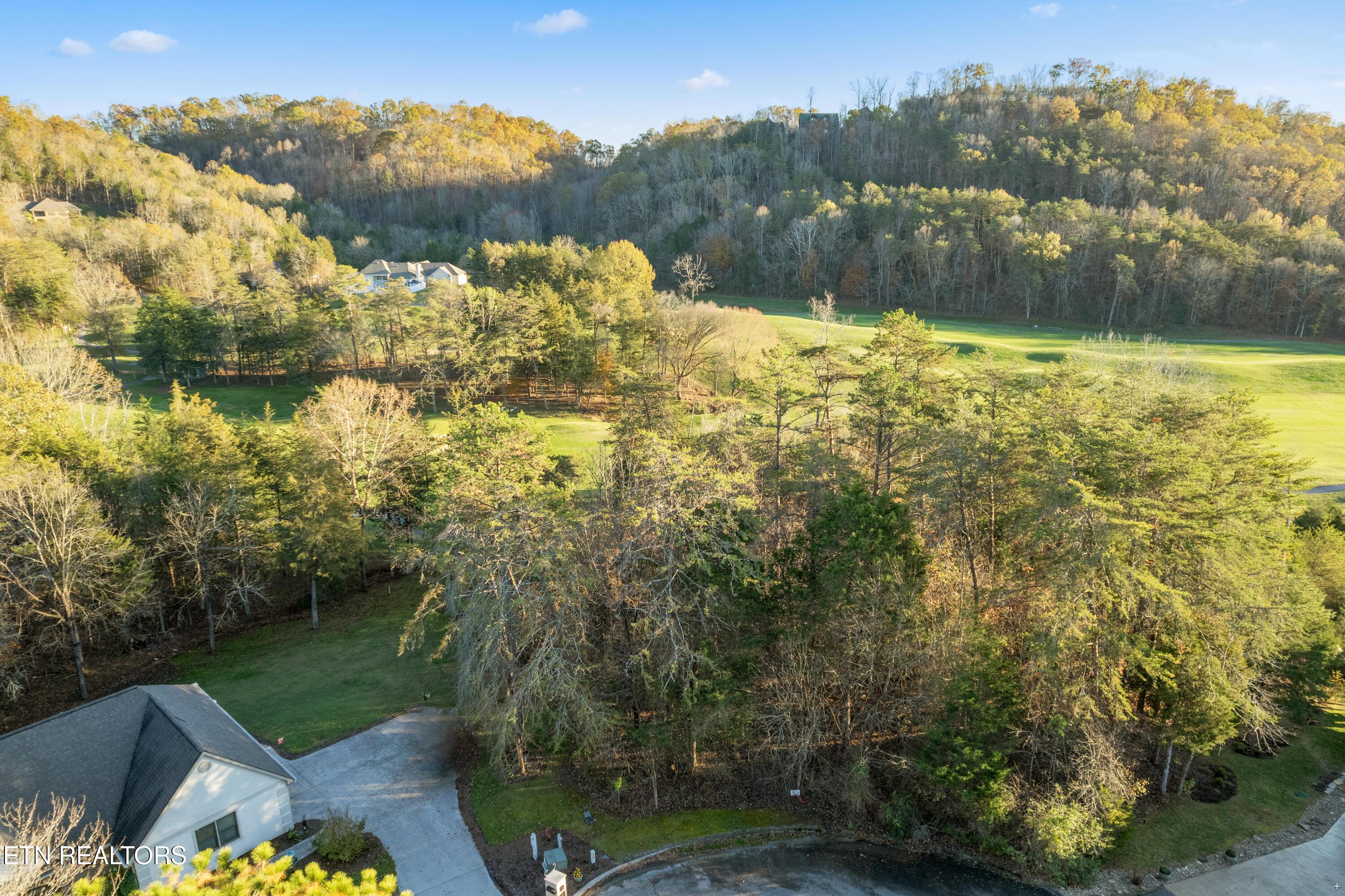 Norris Lake Real Estate - Image# 2