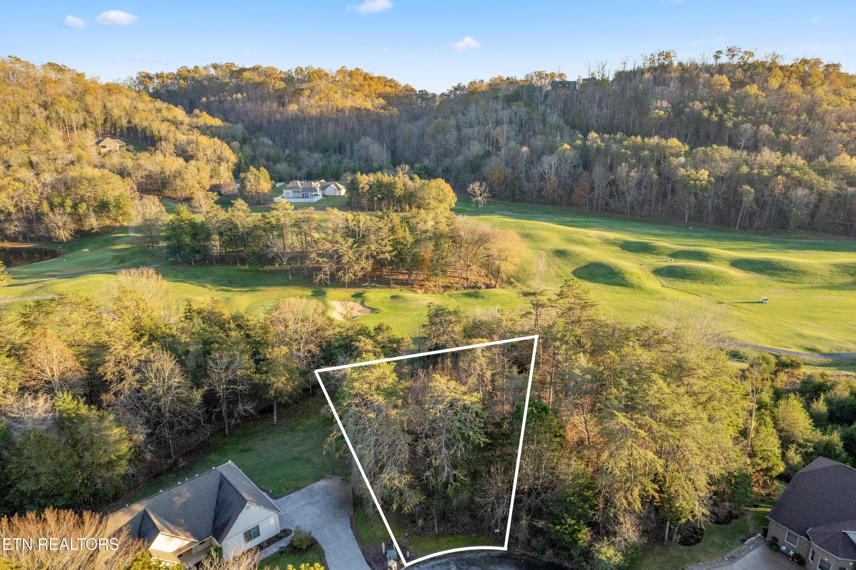 Norris Lake Real Estate - Image# 4