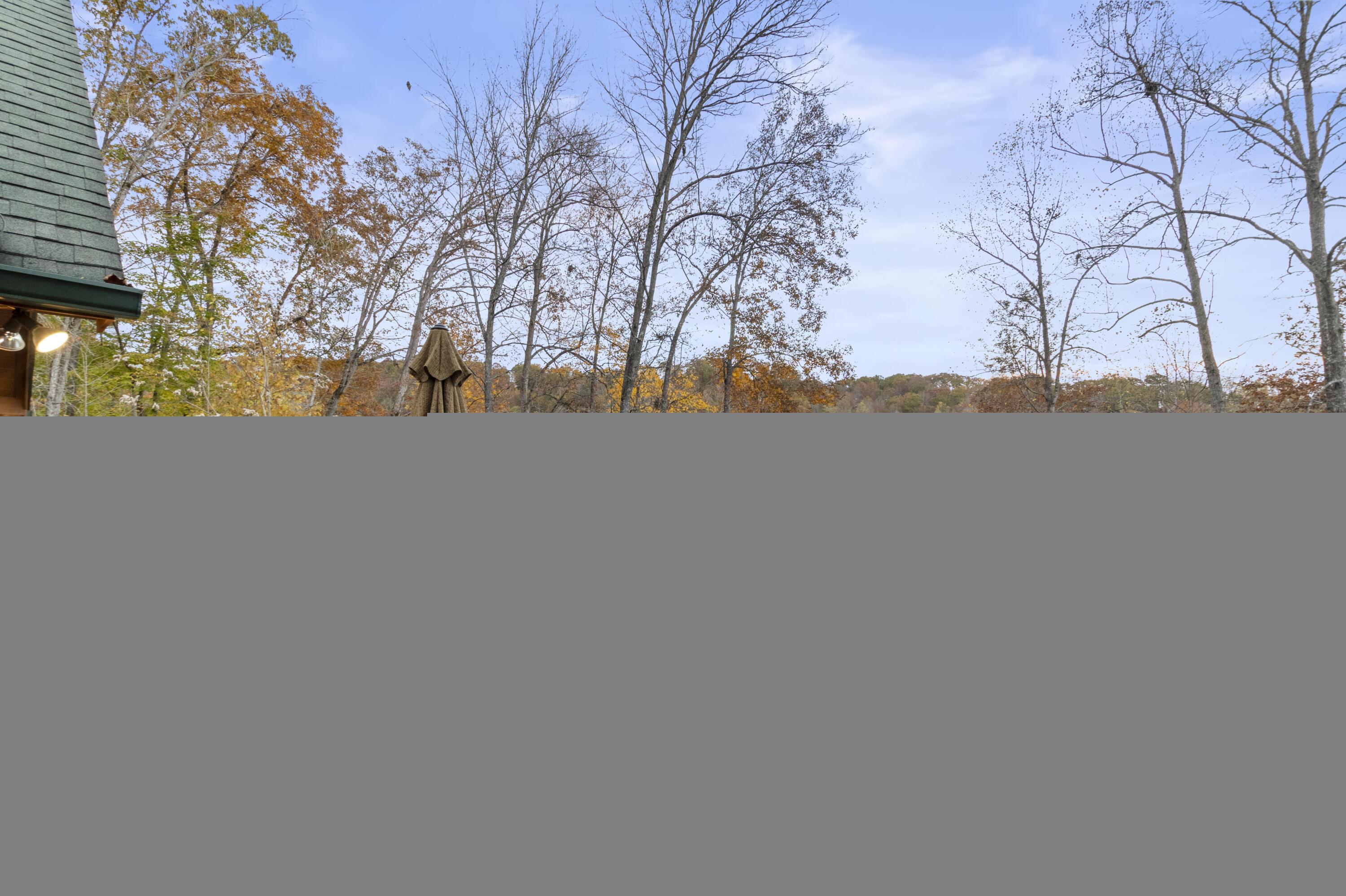 Norris Lake Real Estate - Image# 100