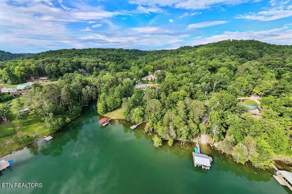 Norris Lake Real Estate - Image# 5