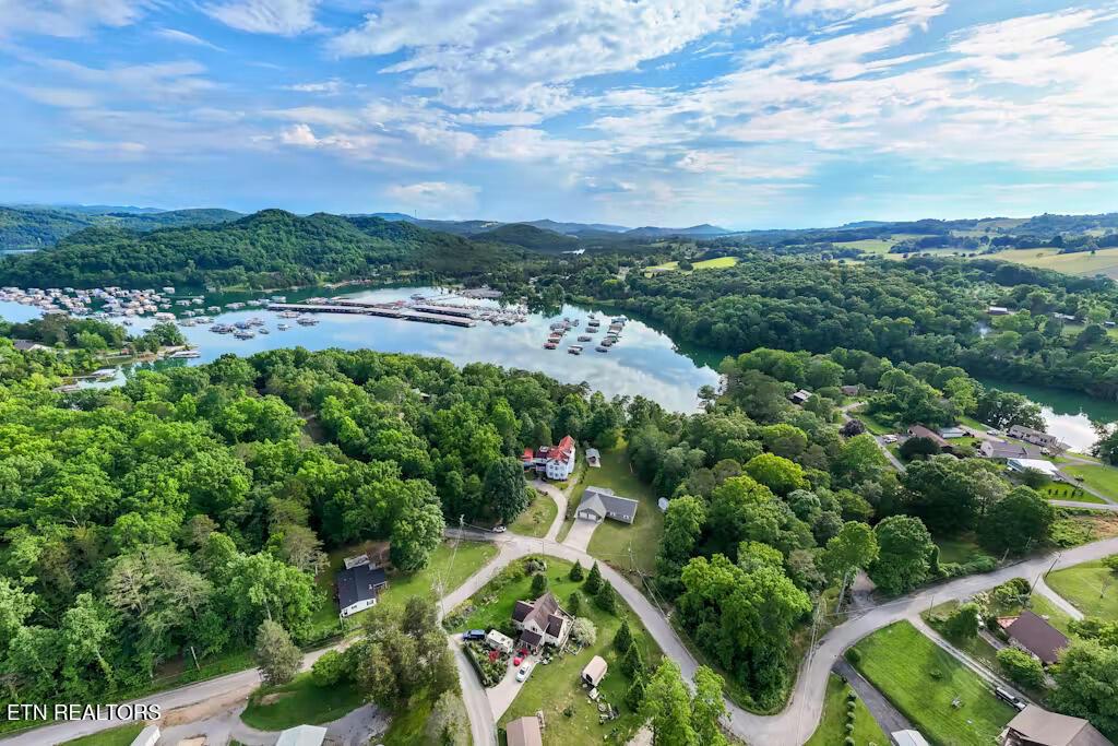 Norris Lake Real Estate - Image# 77