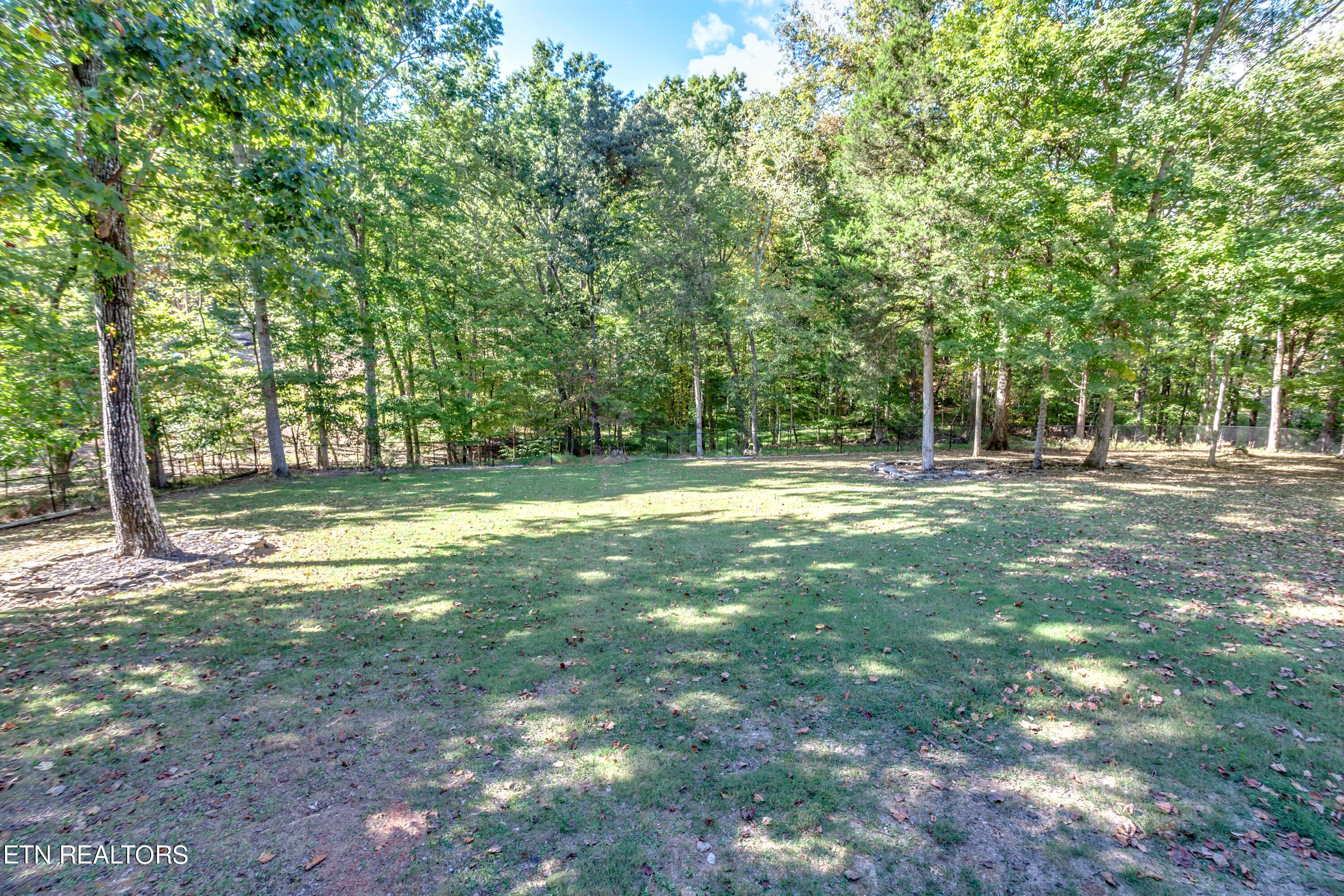 Norris Lake Real Estate - Image# 13