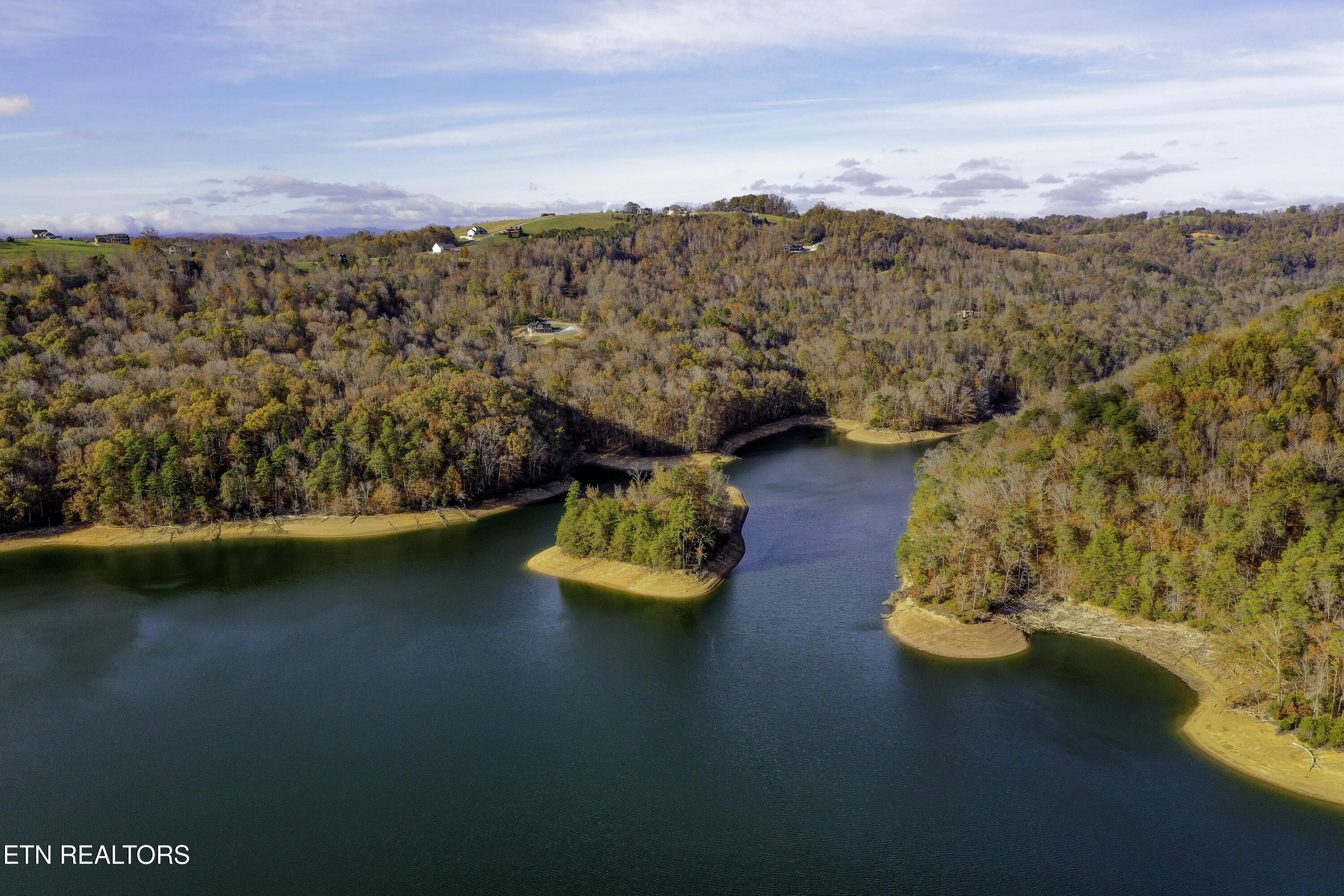 Norris Lake Real Estate - Image# 3