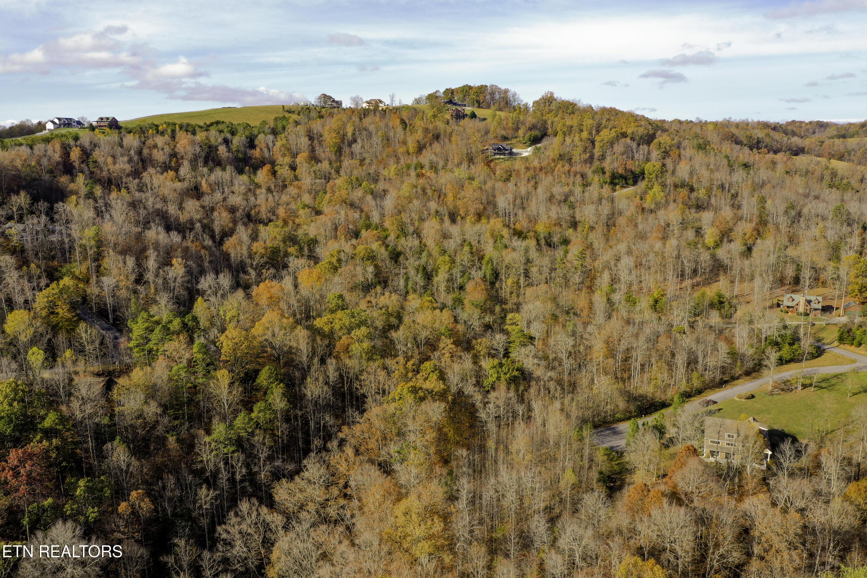 Norris Lake Real Estate - Image# 4