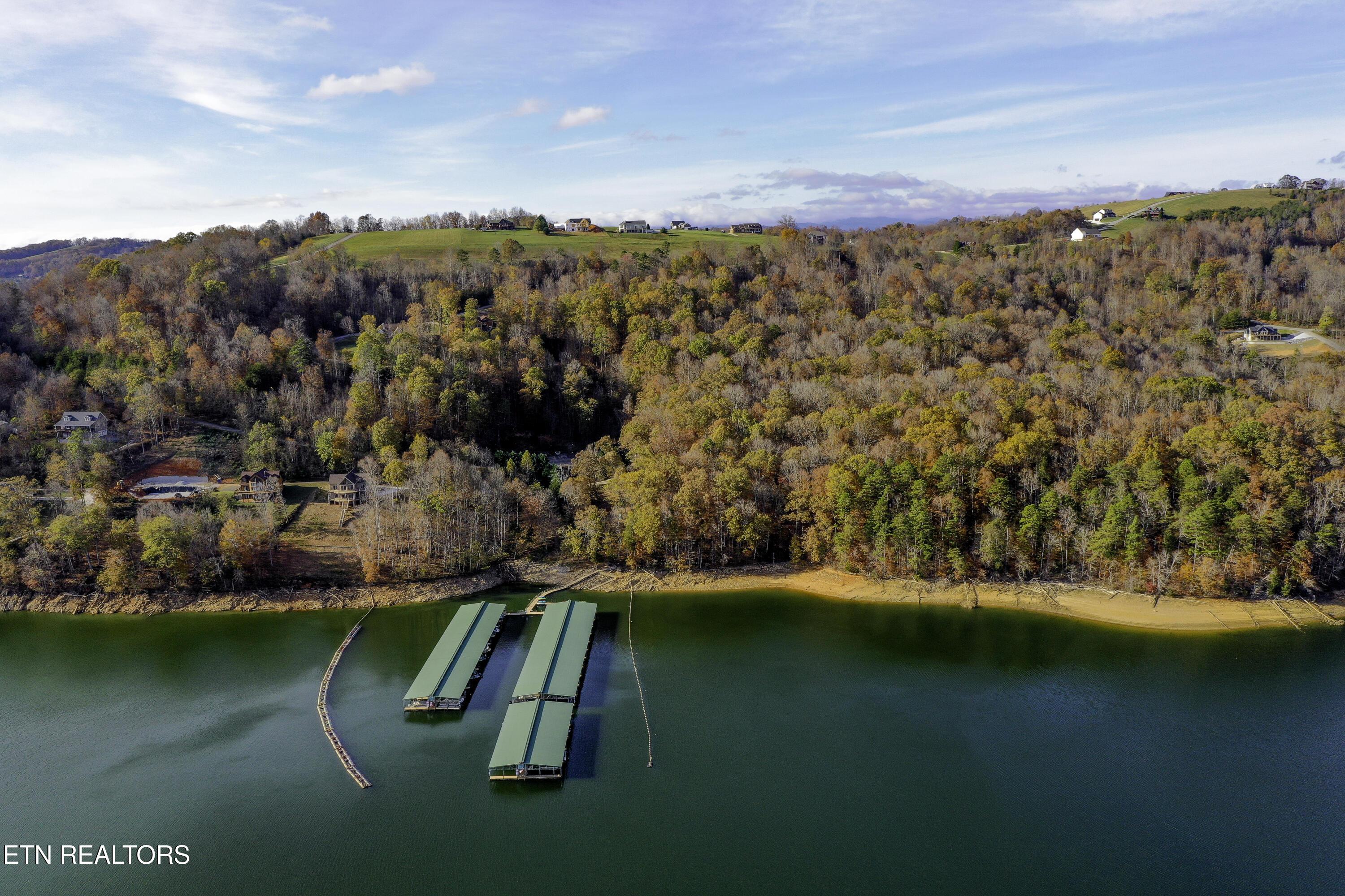 Norris Lake Real Estate - Image# 13