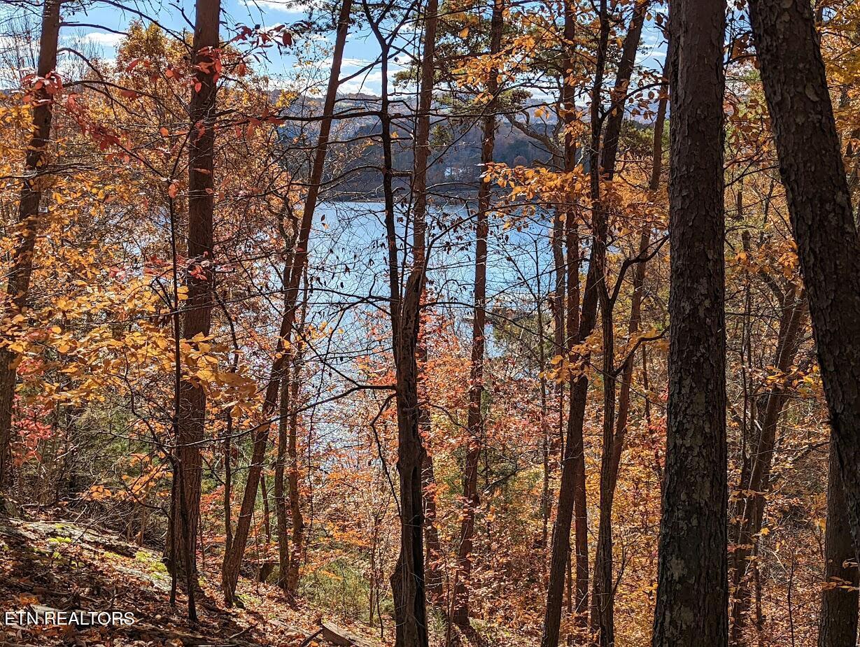 Norris Lake Real Estate - Image# 1