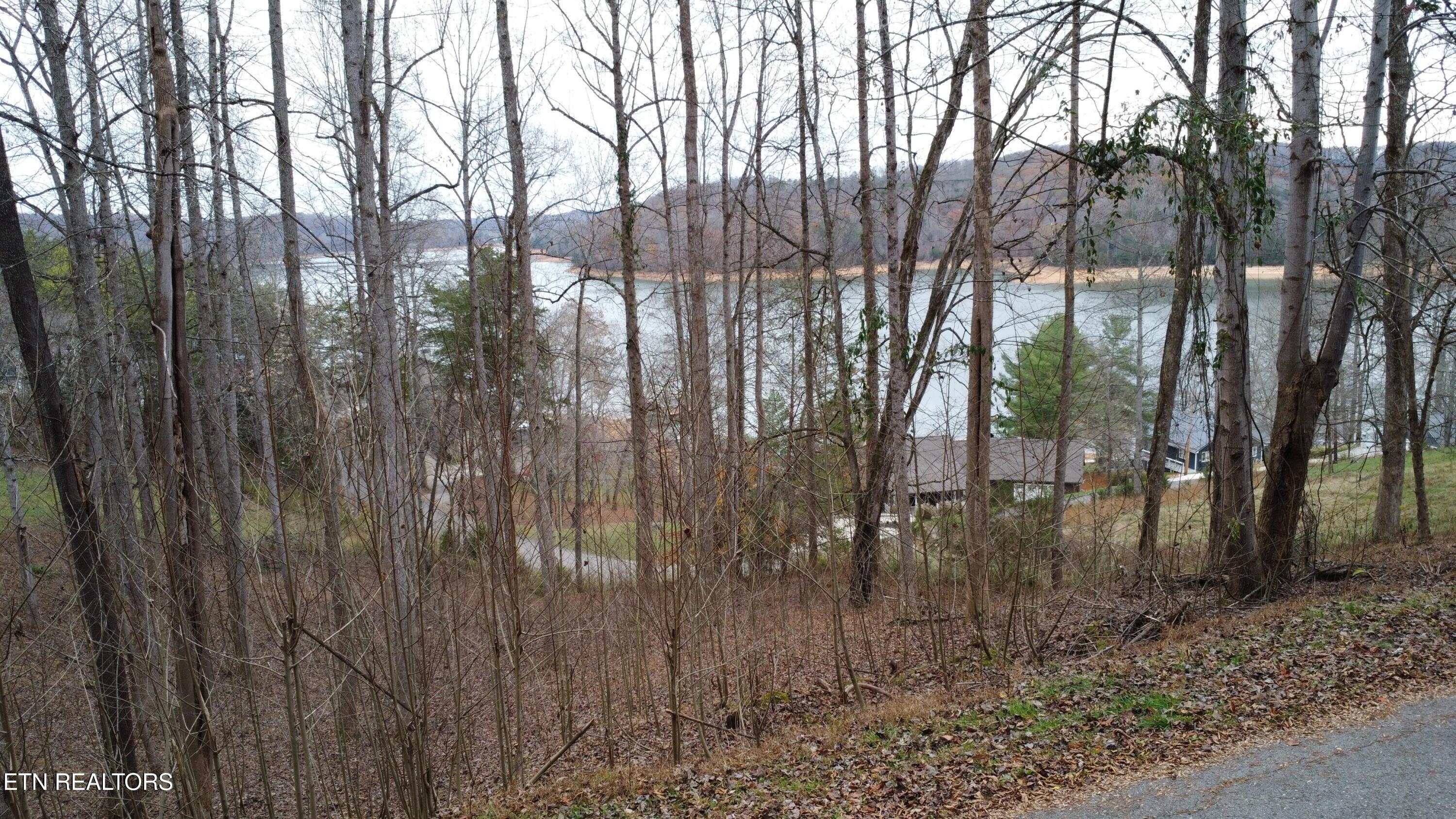 Norris Lake Real Estate - Image# 1