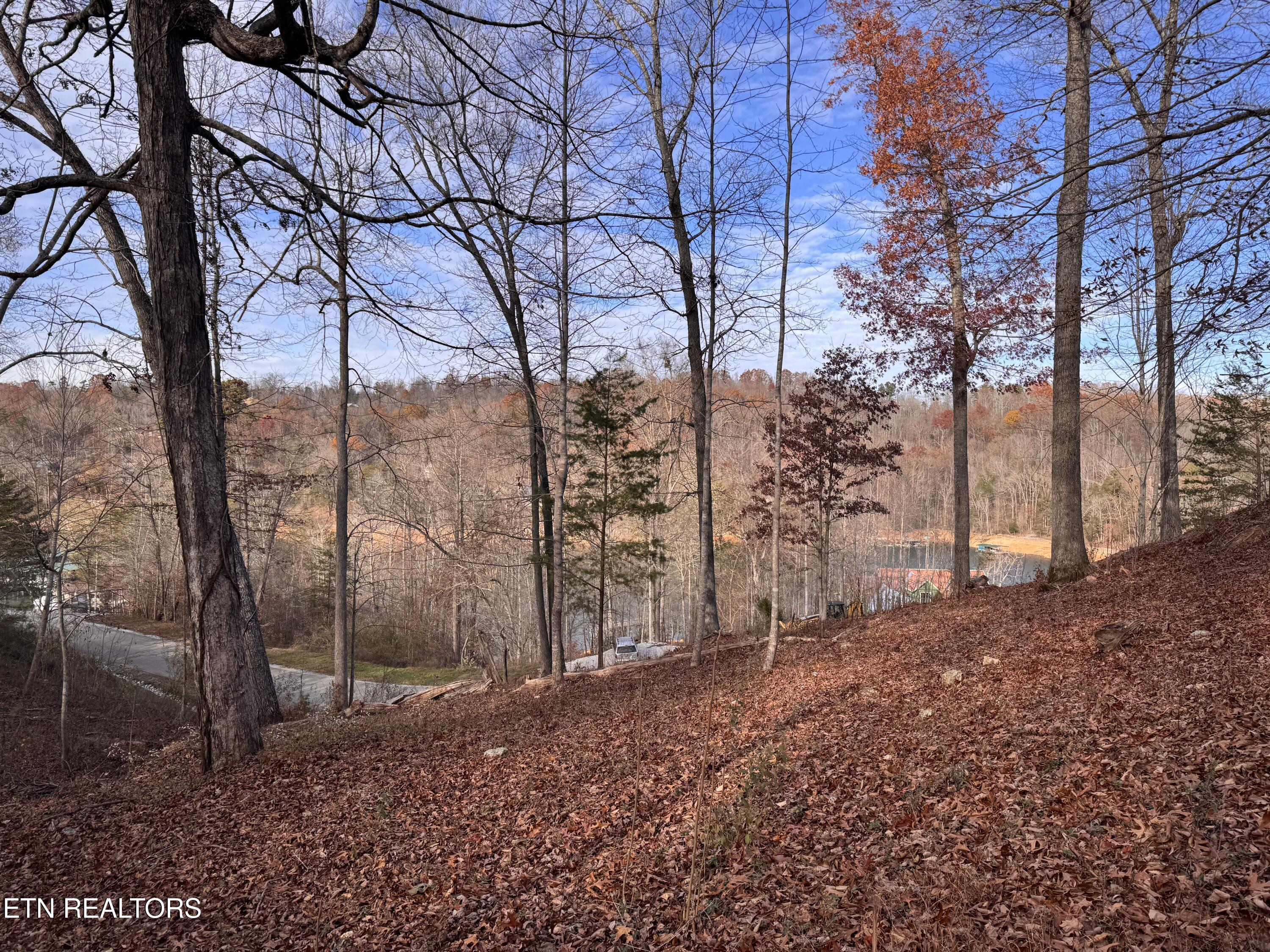 Norris Lake Real Estate - Image# 6