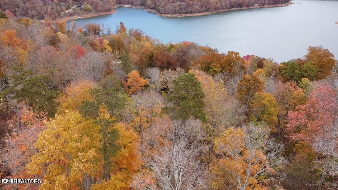 Norris Lake Real Estate - Image# 4