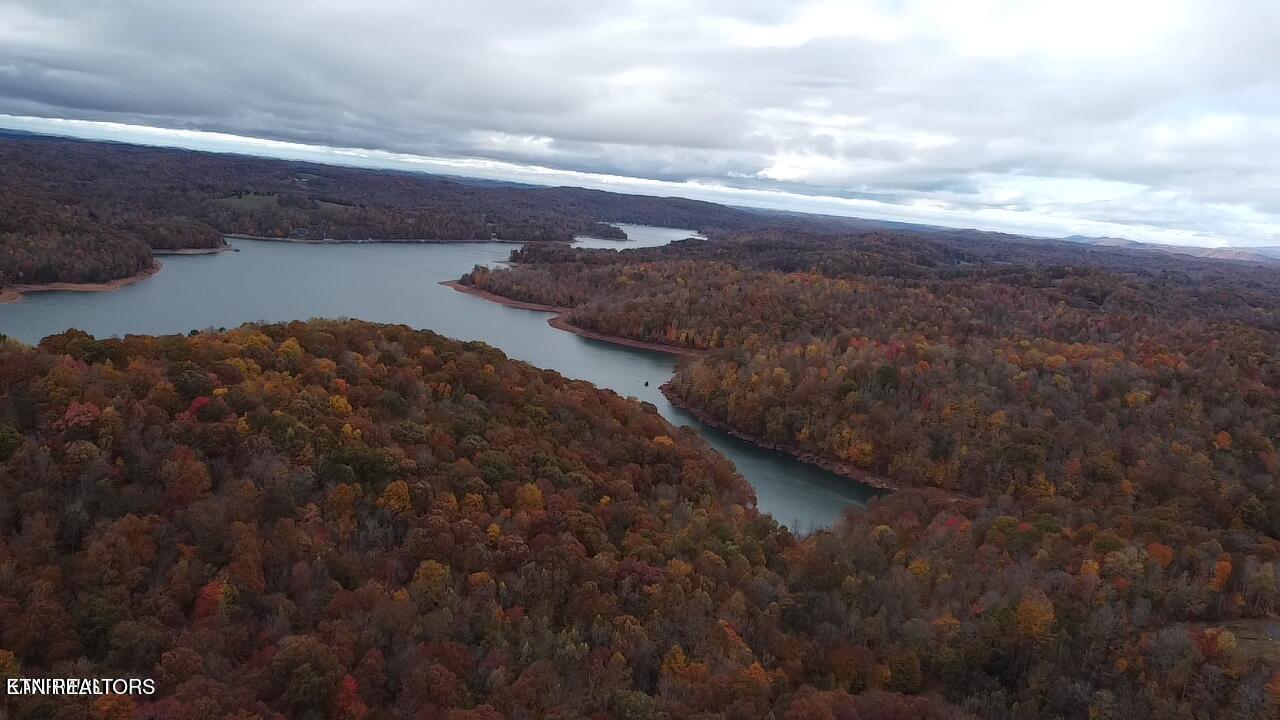 Norris Lake Real Estate - Image# 5