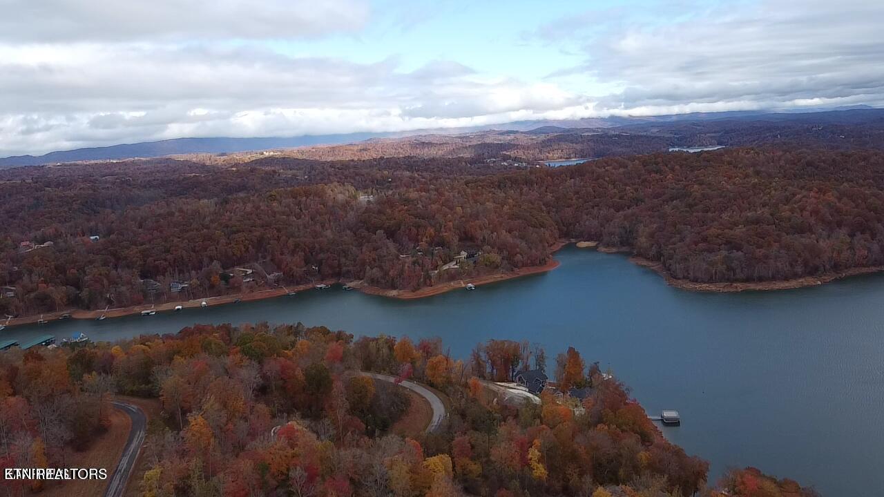 Norris Lake Real Estate - Image# 23