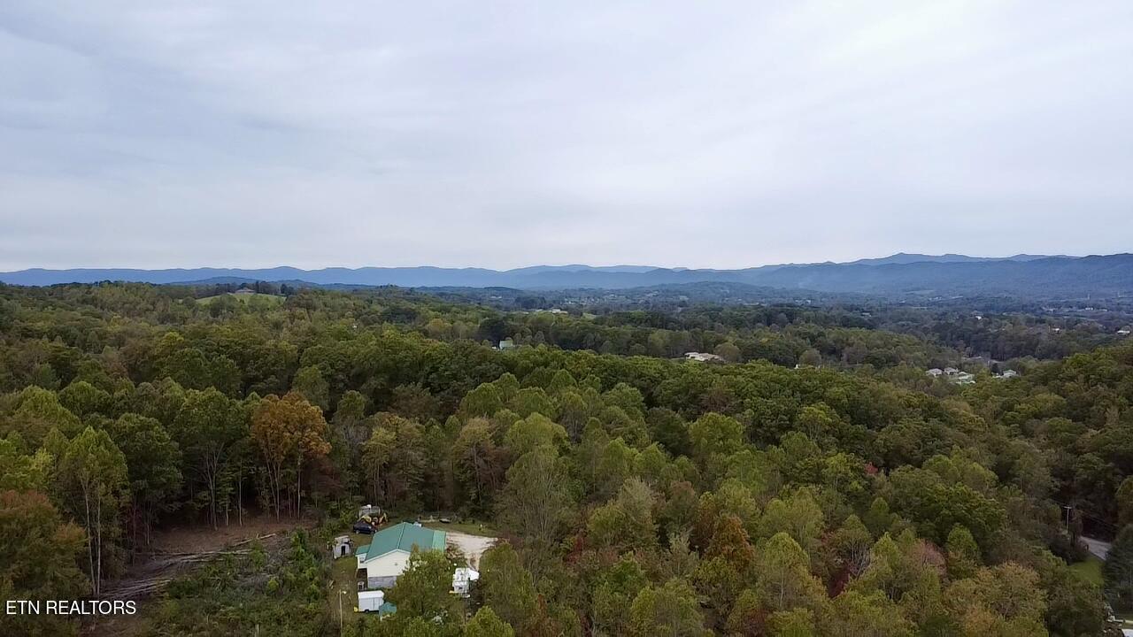 Norris Lake Real Estate - Image# 2