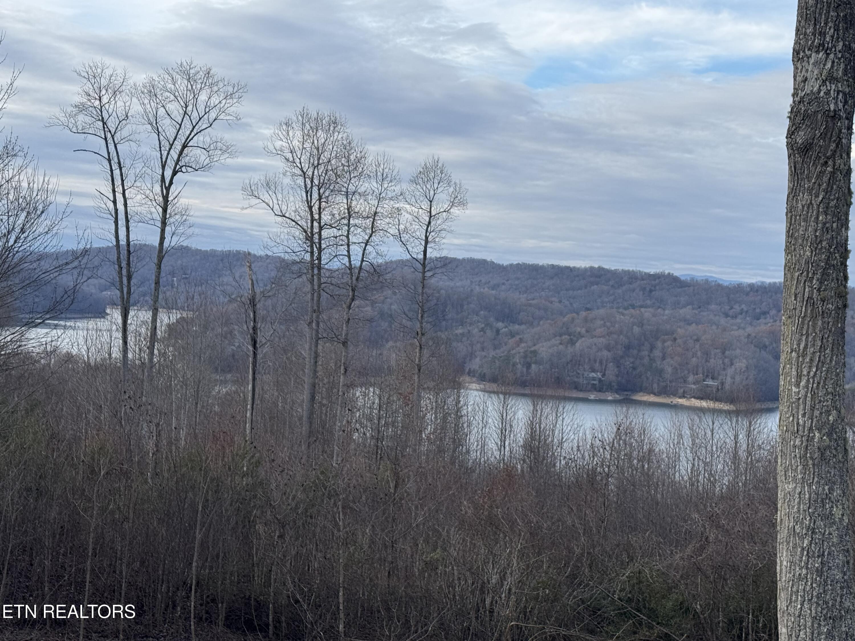 Norris Lake Real Estate - Image# 2