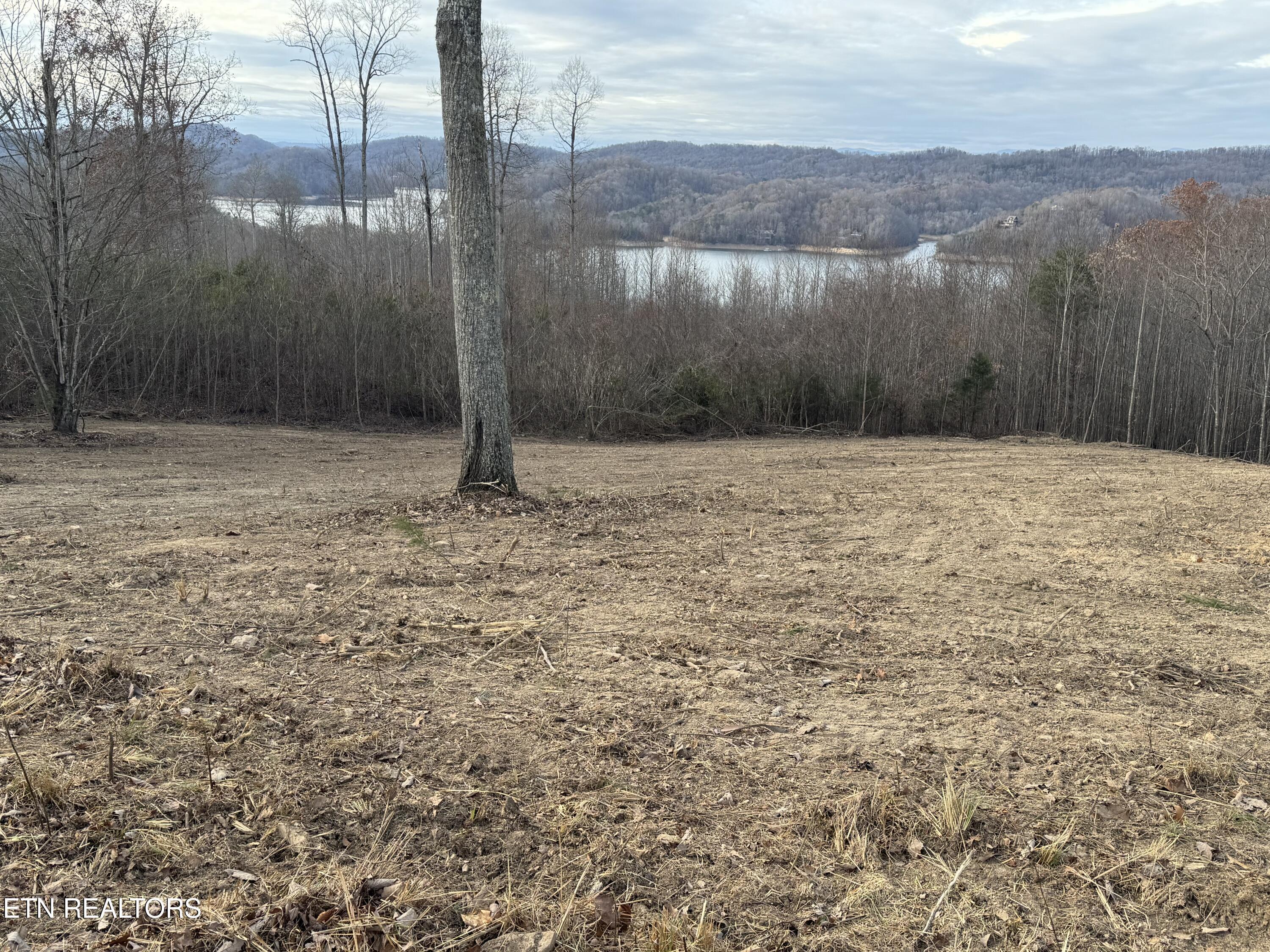 Norris Lake Real Estate - Image# 4