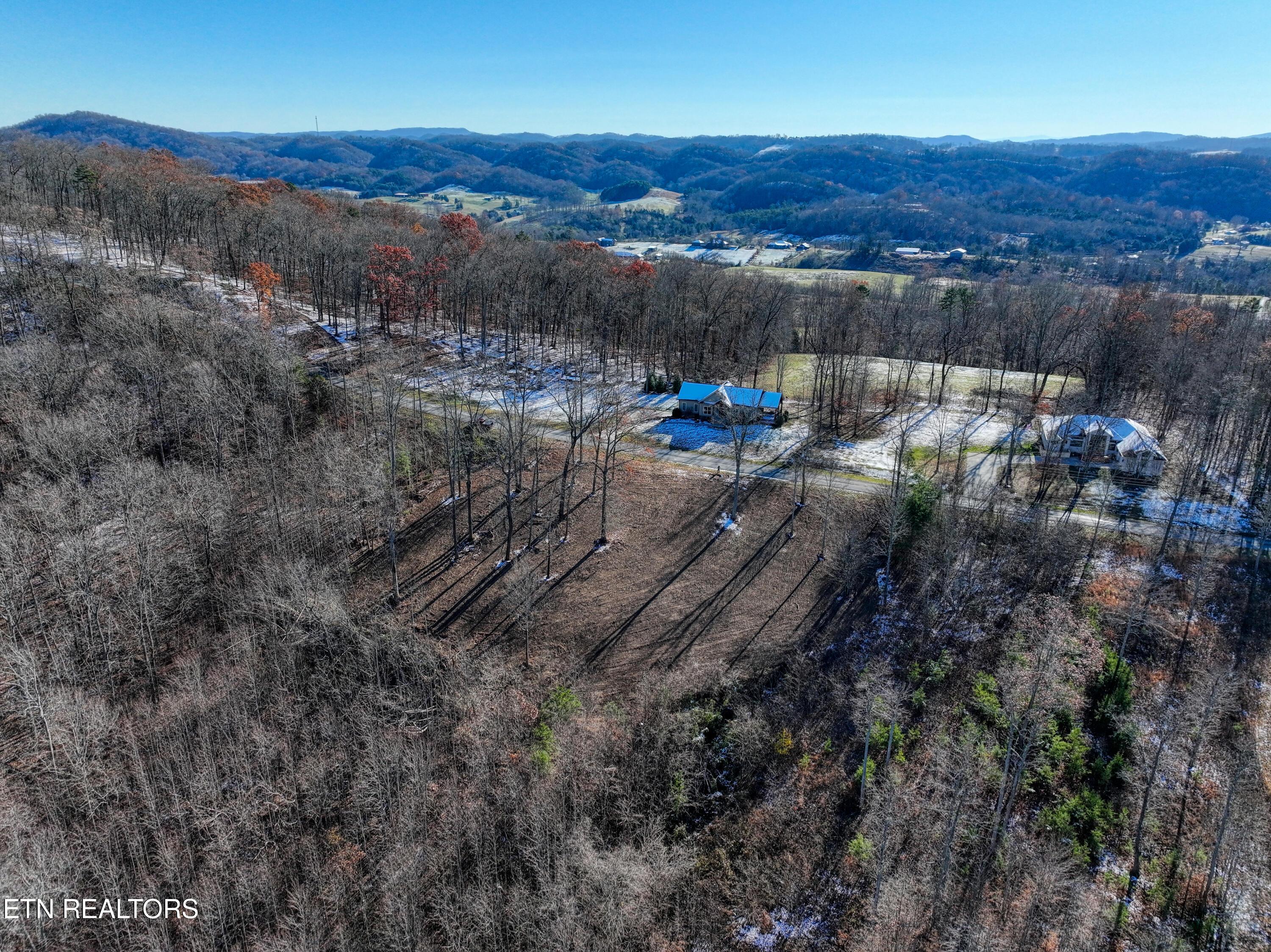 Norris Lake Real Estate - Image# 13