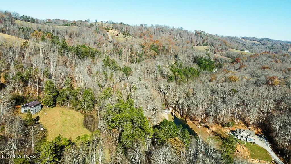 Norris Lake Real Estate - Image# 3