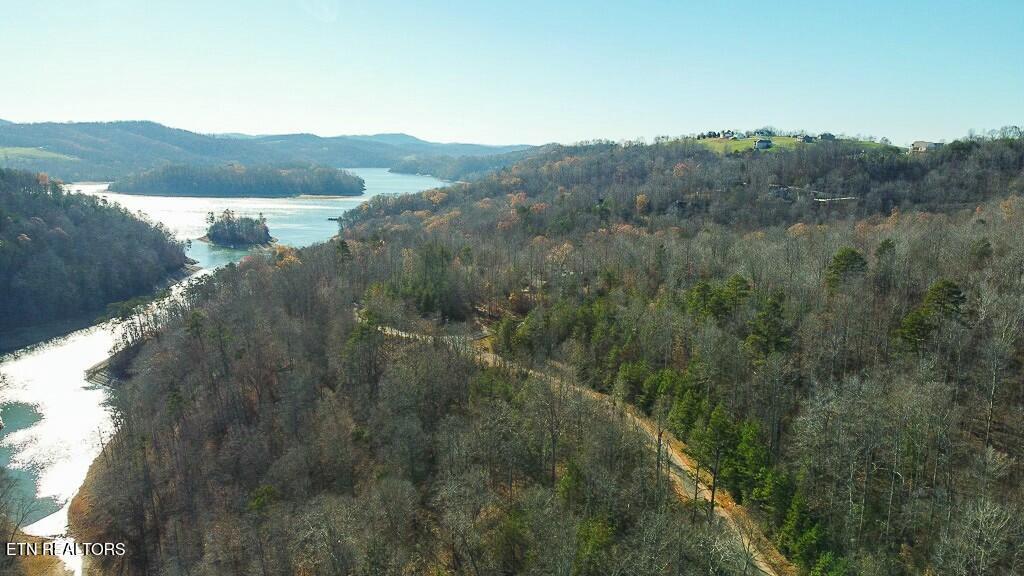 Norris Lake Real Estate - Image# 17