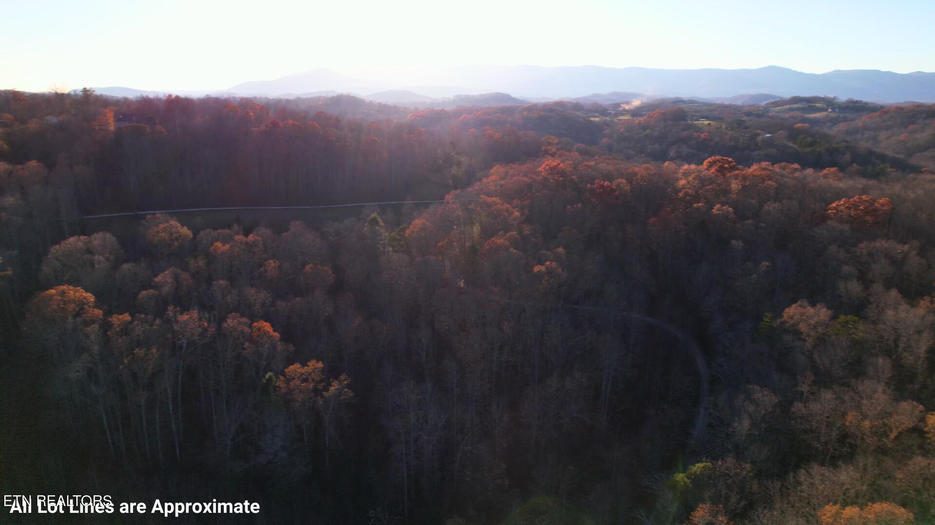 Norris Lake Real Estate - Image# 5