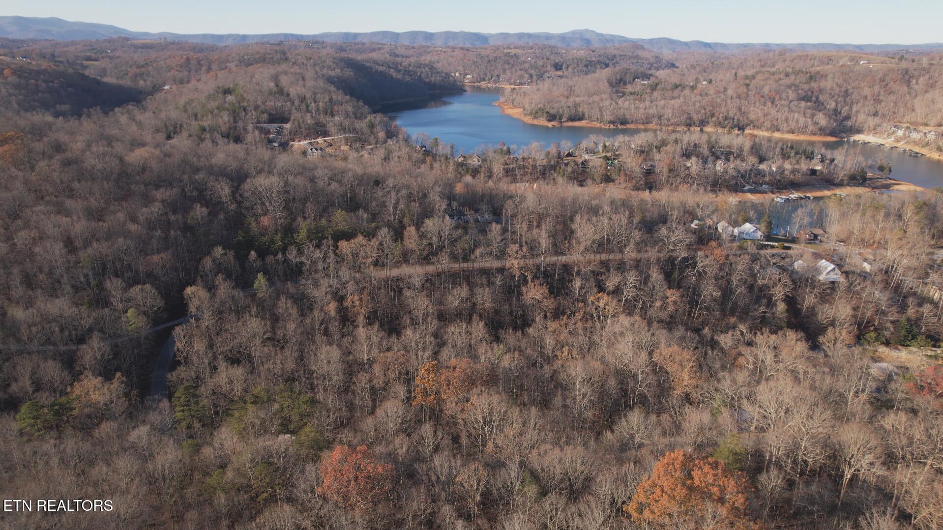 Norris Lake Real Estate - Image# 14