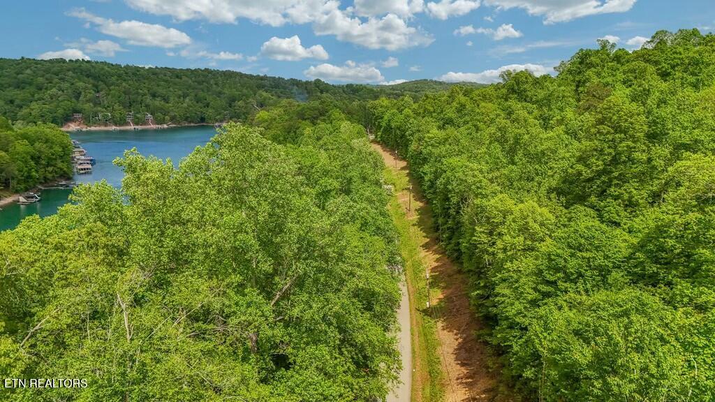 Norris Lake Real Estate - Image# 12