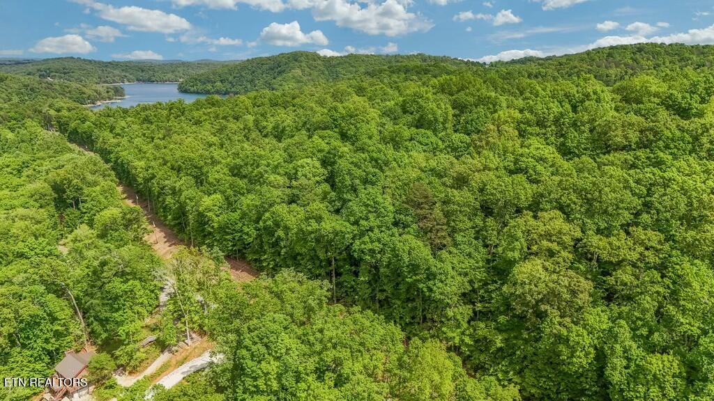 Norris Lake Real Estate - Image# 15