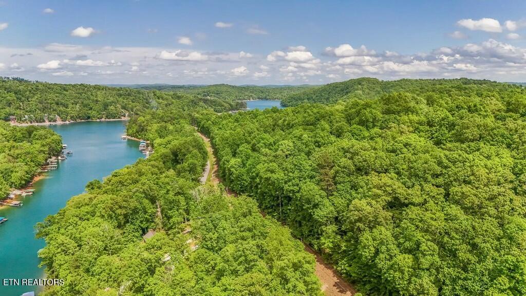 Norris Lake Real Estate - Image# 17