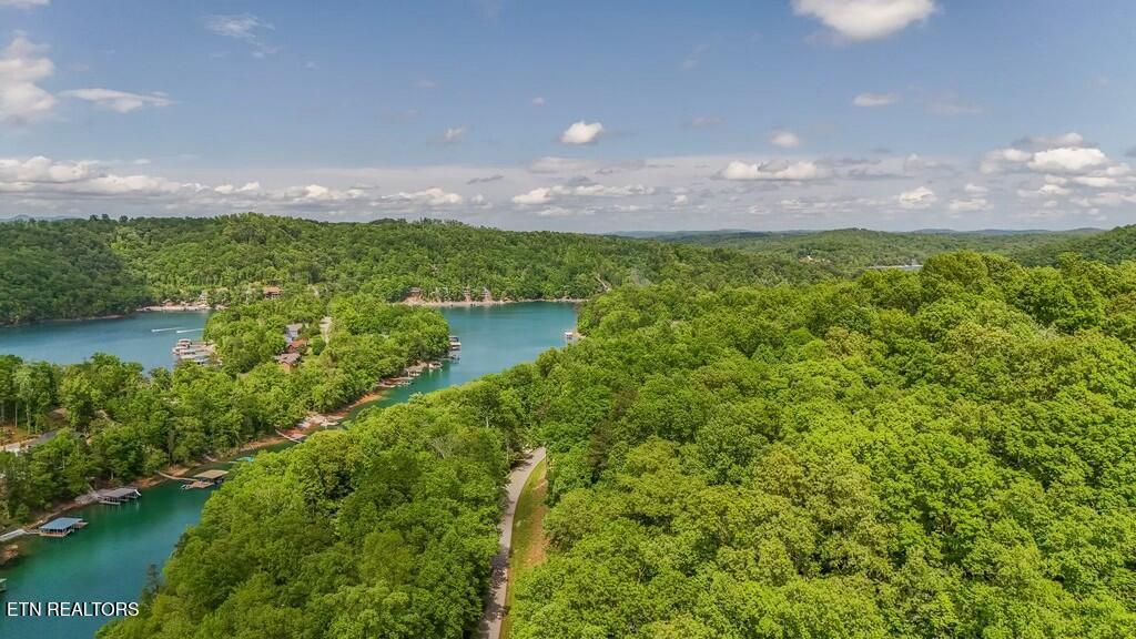 Norris Lake Real Estate - Image# 18