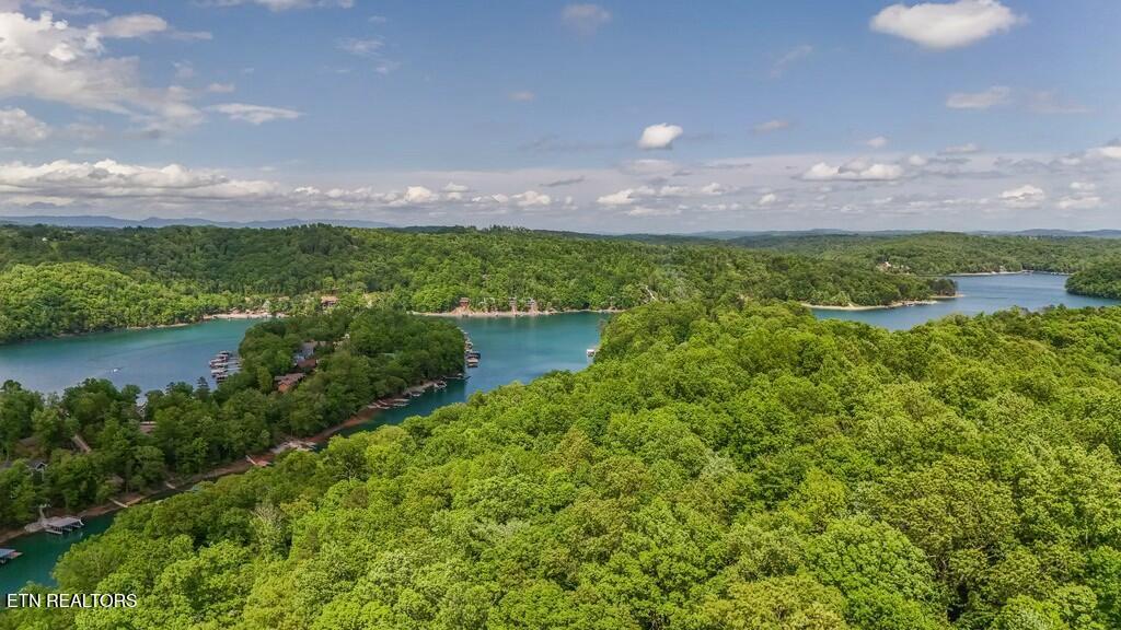 Norris Lake Real Estate - Image# 19